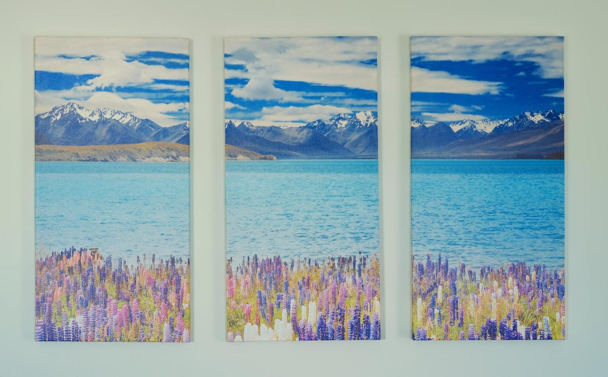 Kingfisher Lodge Lake Tekapo Rom bilde